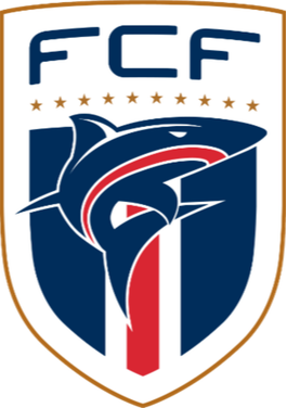 https://img.ffpwenda.com/img/football/team/b78fbb9123ed9633ac77215960a8a7b3.png